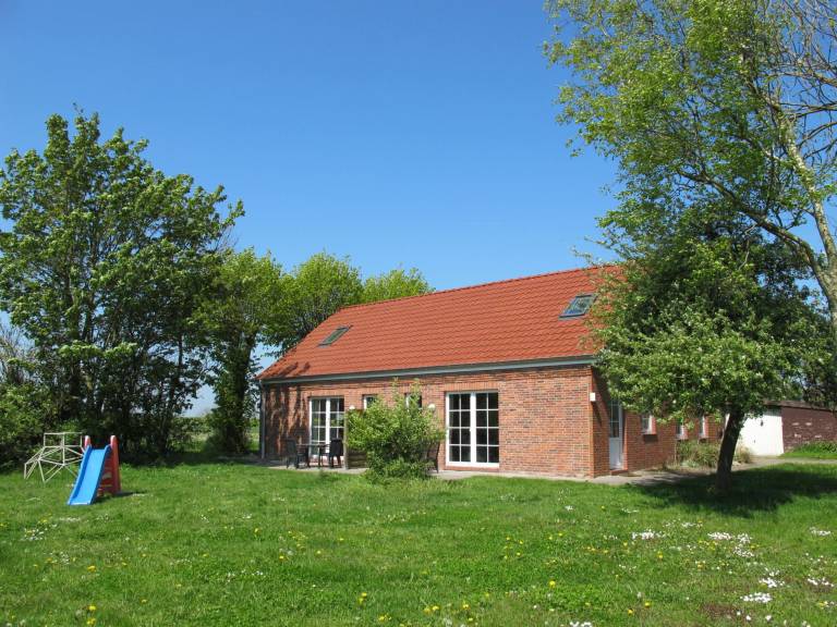 foto17