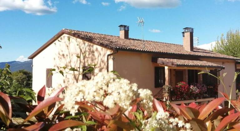 Pleasant holiday apartment | Dogs allowed in Terni