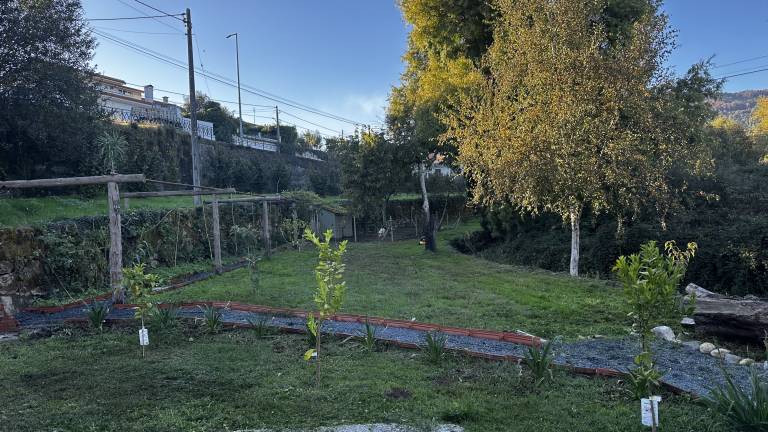 foto32
