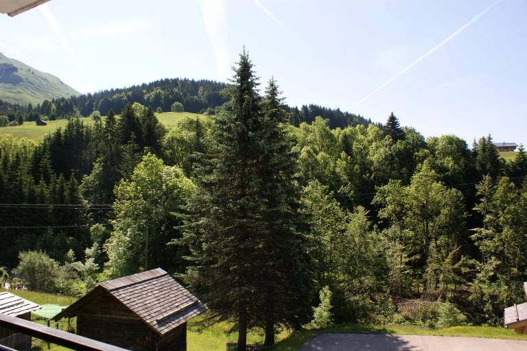 Studio Le Grand-Bornand