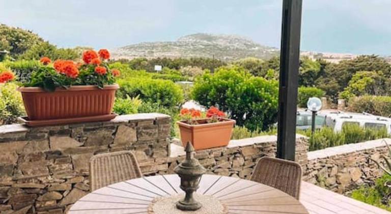 Apartment with pool | Pets allowed in Stintino
