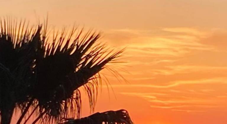 Nice rental apartment | Next to the beach | Dogs allowed in Sanary-sur-Mer