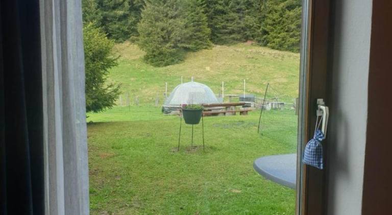 foto38