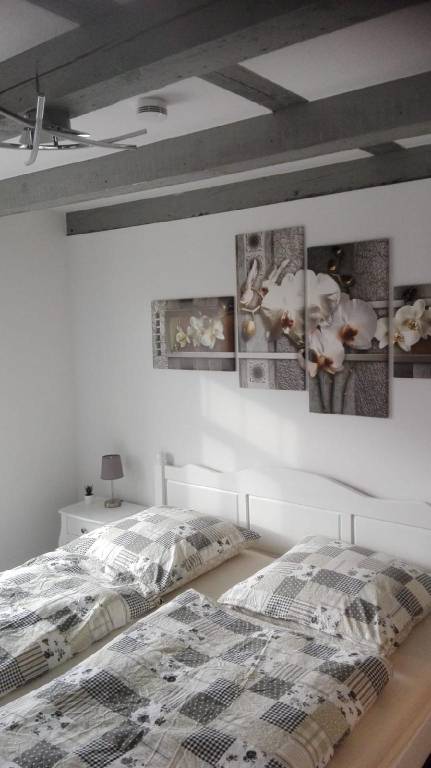 foto41