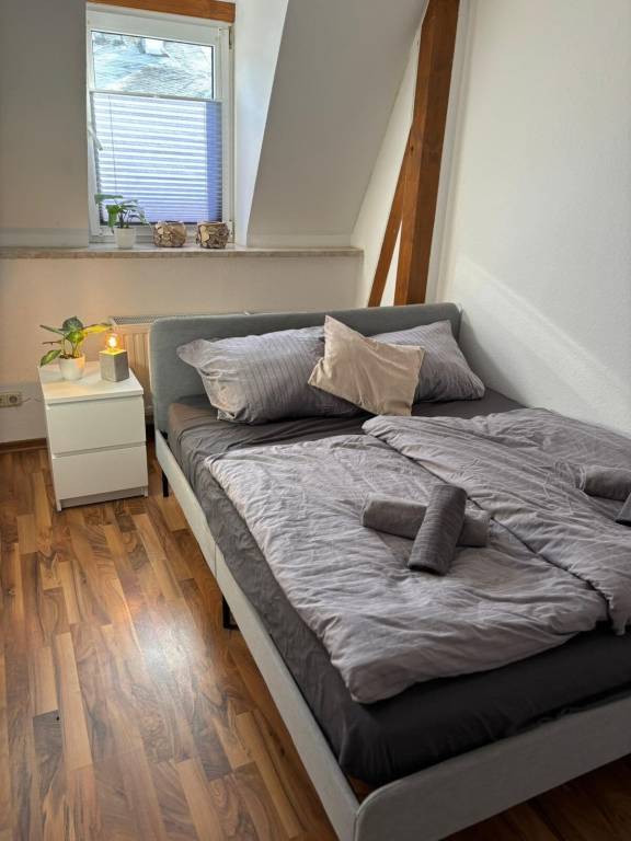 Ferienwohnung  Plauen