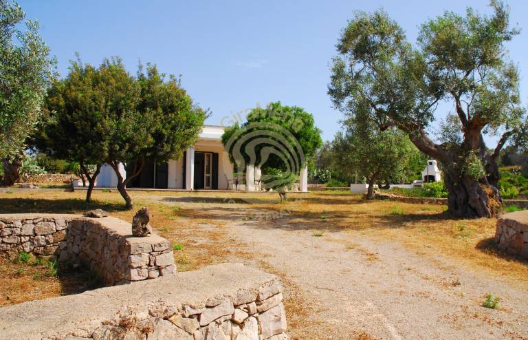 Villa with garden — photo 3