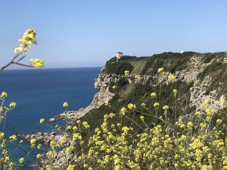 foto48