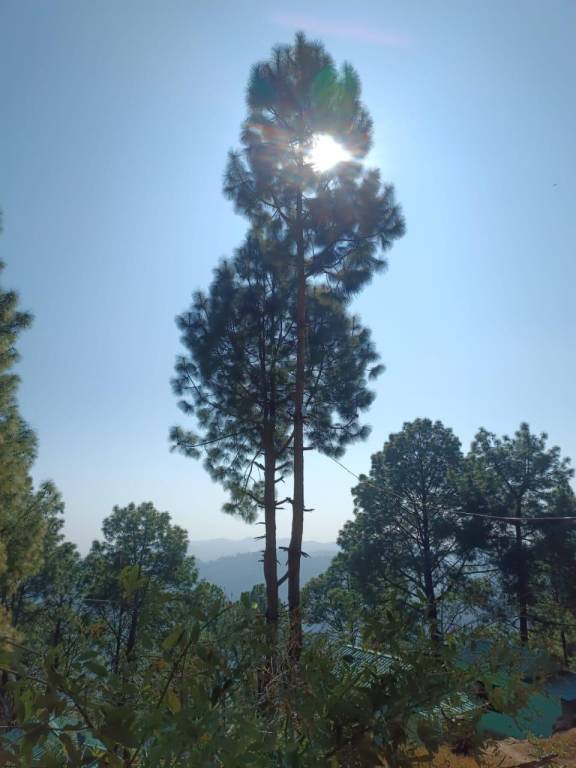 foto5