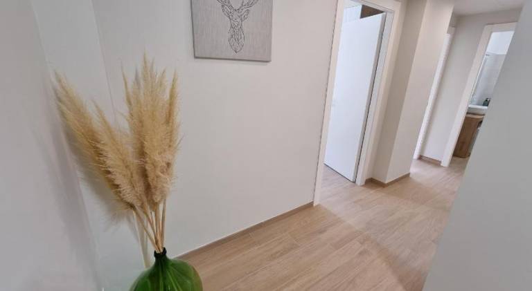 Apartment with 2 rooms for 5 persons — photo 5