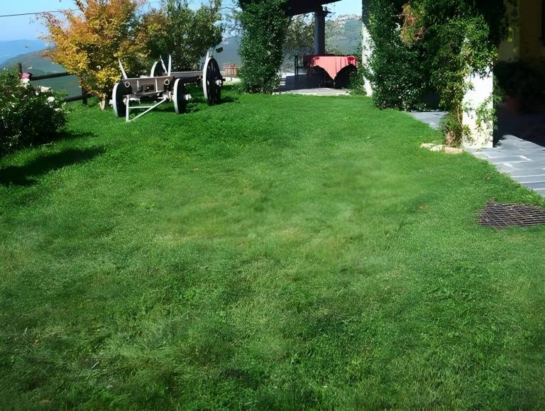 foto16
