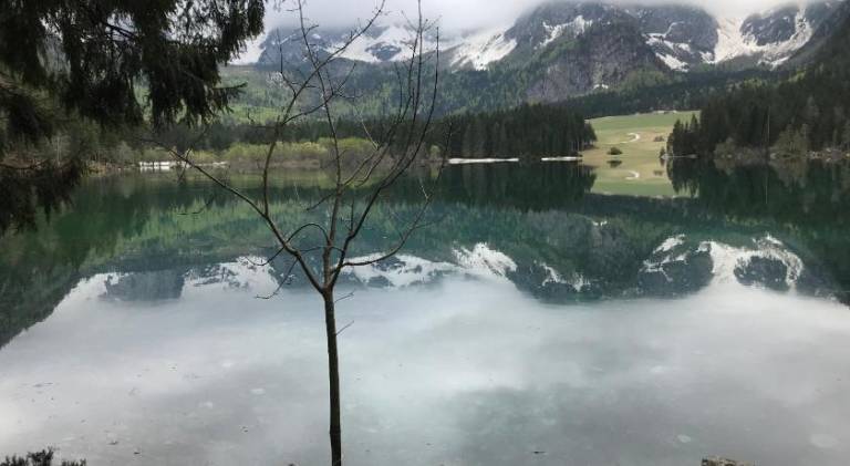 foto6