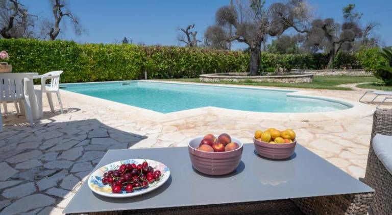 Villa with pool | Pets allowed — photo 3