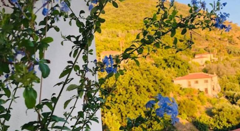 foto8