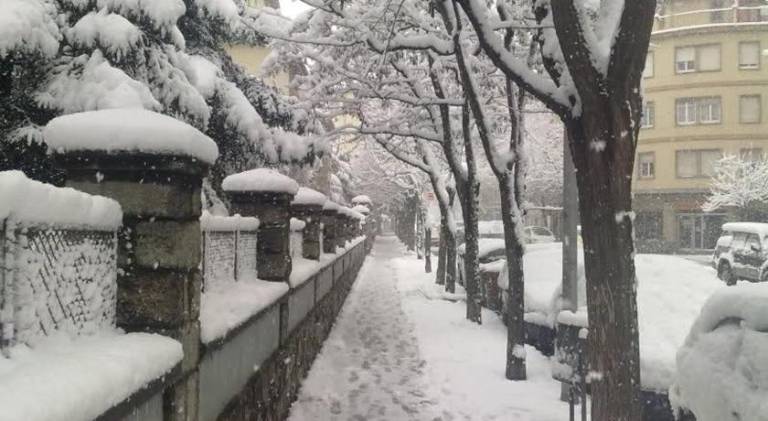foto8