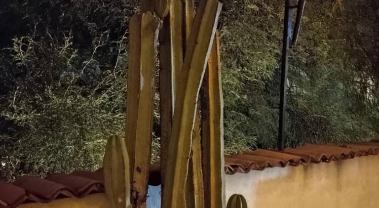 foto44