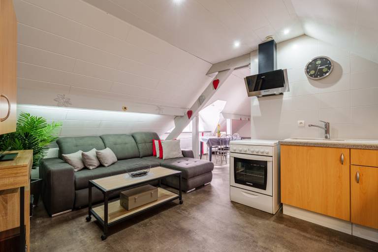 'Gîte Cosy' Apartment with Mountain View, Wi-Fi and Air Conditioning in Strasbourg