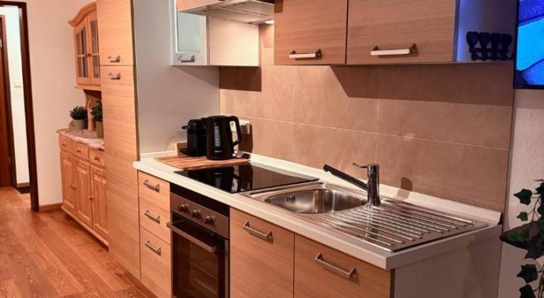 Rental apartment | Pets are welcome — photo 3