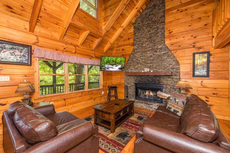 Pigeon Forge Cabin Game Room Dog Friendly Hot Tub — photo 5