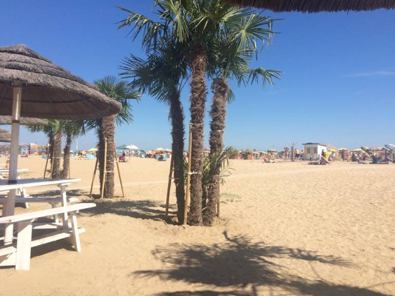 foto10