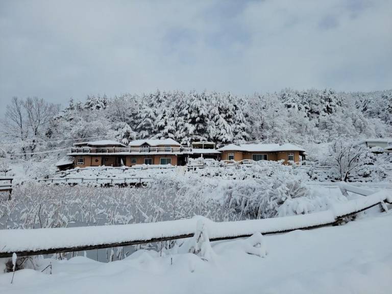 foto6