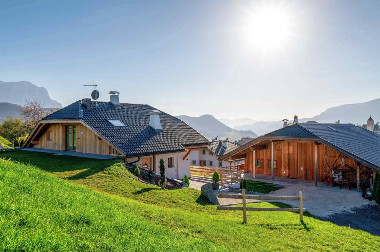 Chalet Laion