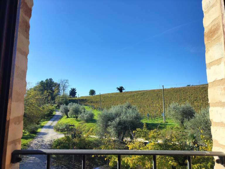Agriturismo La Casa degli Gnomi: Monolocale — photo 5