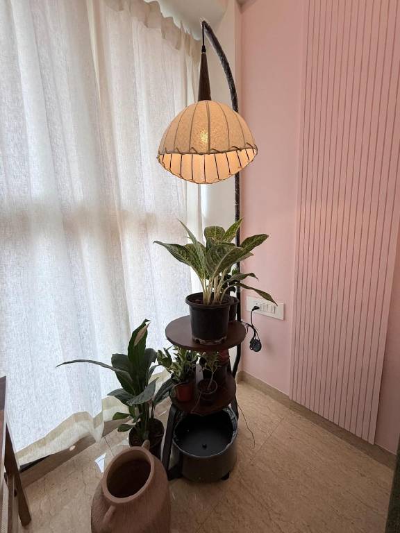 foto36