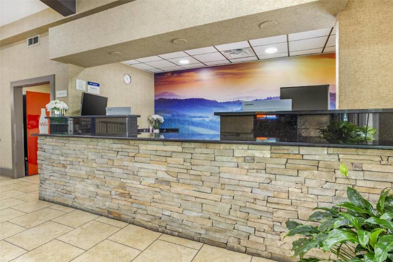 Best Western Asheville -Blue Ridge Parkway — photo 4