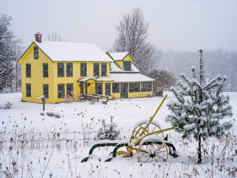 Bed and breakfast  Keene