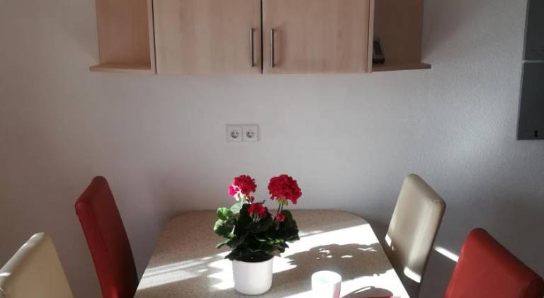 Rental apartment | Pets allowed — photo 4