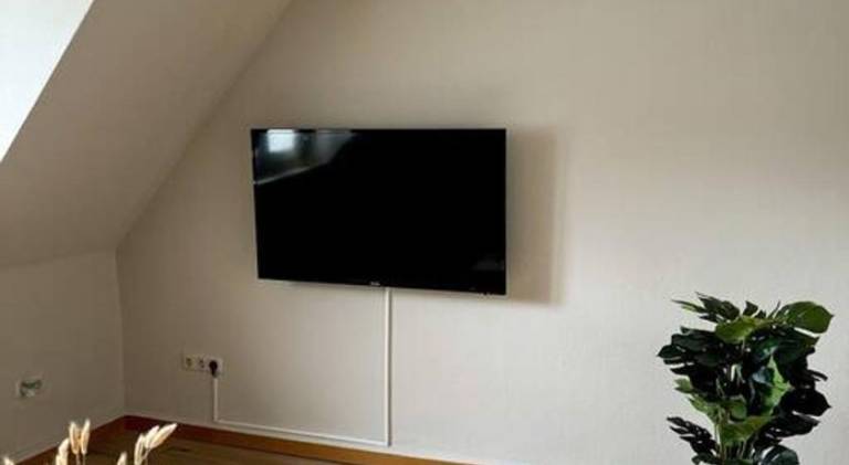 Holiday apartment | Pet-friendly — photo 4