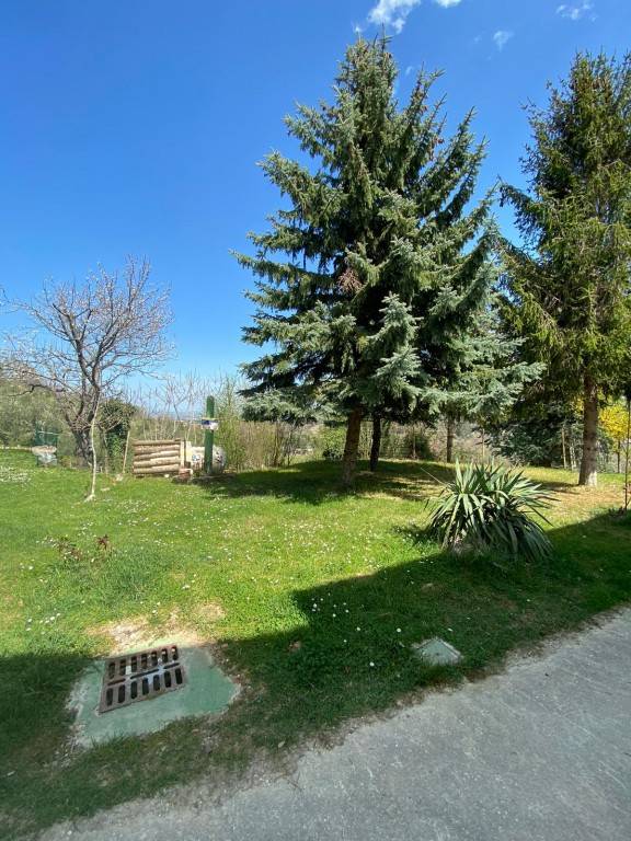 foto23