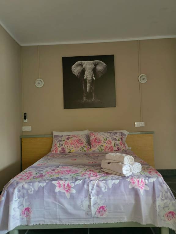 foto7