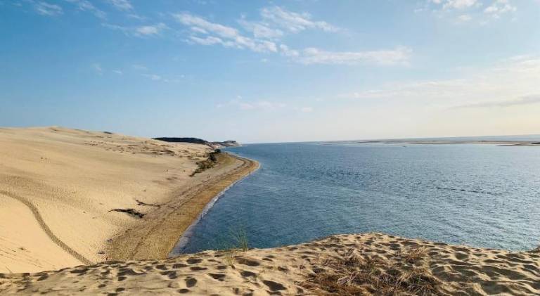 Pleasant apartment | Next to the beach | Dogs allowed in La Teste-de-Buch