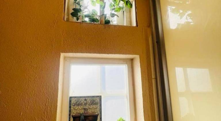 foto26
