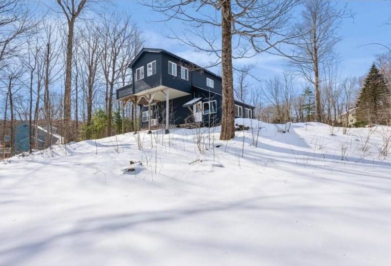 Chalet Killington