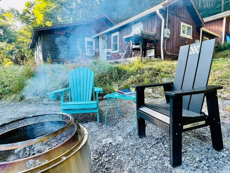 Cabin  Arkville