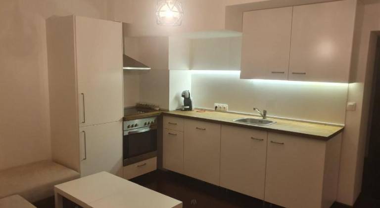 Apartment with yard & patio | Pet-friendly — photo 4