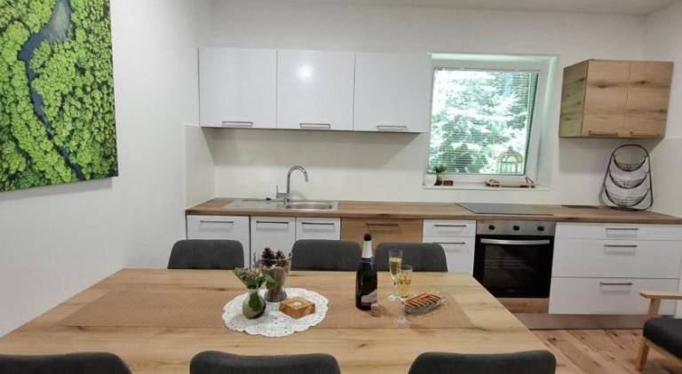 Beautiful holiday apartment | Pets allowed — photo 5