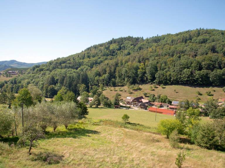 foto15