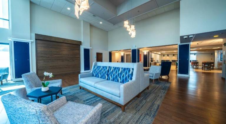 Holiday Inn Express Hotel & Suites Tampa-Oldsmar By IHG — photo 2