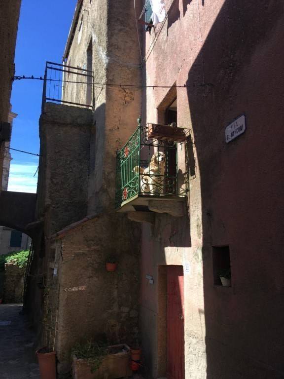 foto13