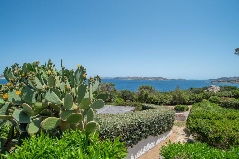 Bibi Studio – Porto Rafael. Just Steps from the Sea — photo 2
