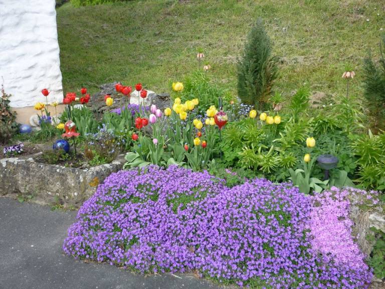 foto20