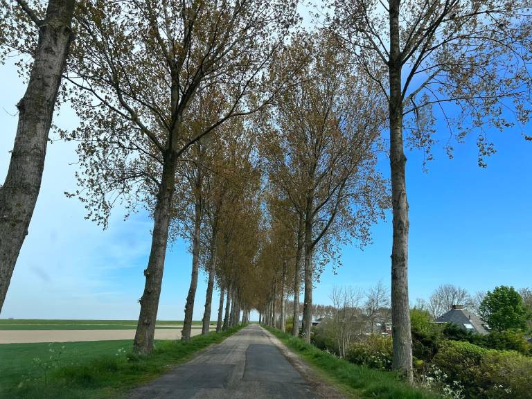 foto40
