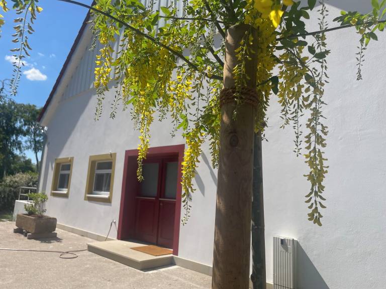 Ferienwohnung Halle (Westfalen)