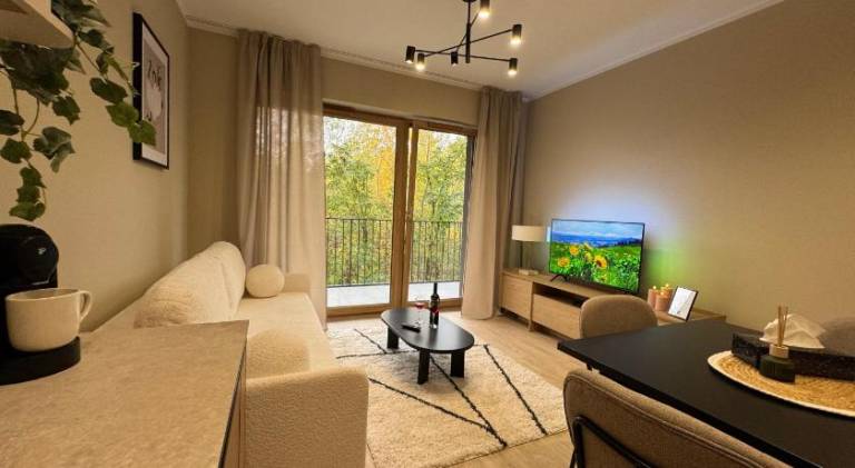 Lovely rental apartment | Pets allowed in Katowice