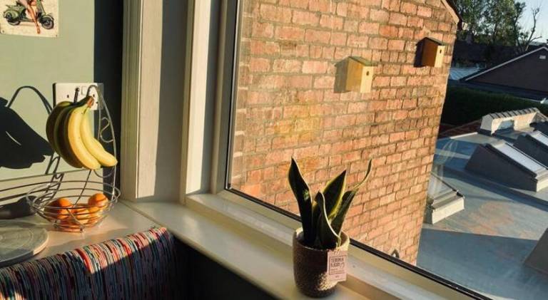 Holiday apartment with 2 rooms for 4 persons — photo 5