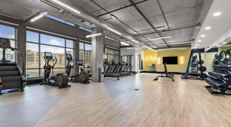 Beautiful serviced apartment with grill, yard & pool | Perfect for remote work | Pets are welcome in Denver, CO
