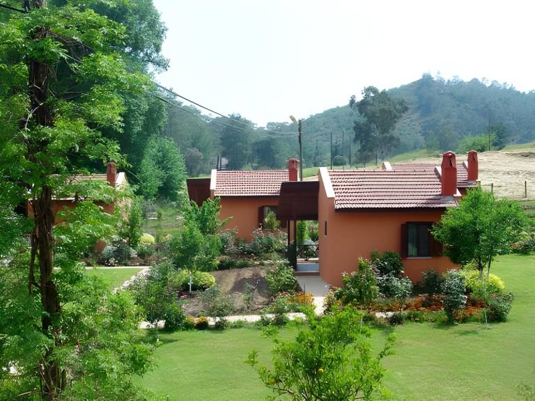 Dalya Life in Dalaman